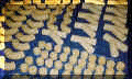 wpe22.gif (92241 bytes)
